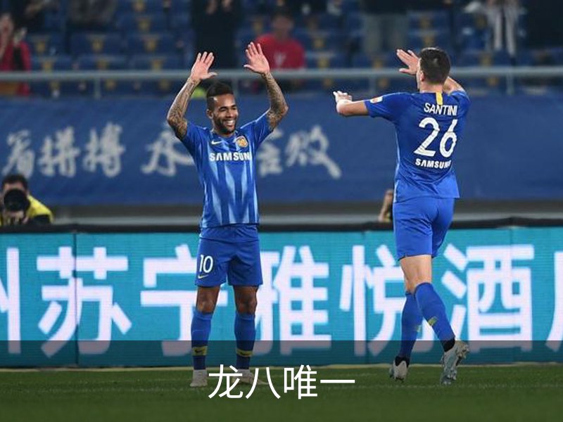 龙八唯一介绍